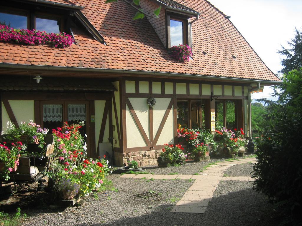 Le Neufeld Panzió Oberhaslach Kültér fotó