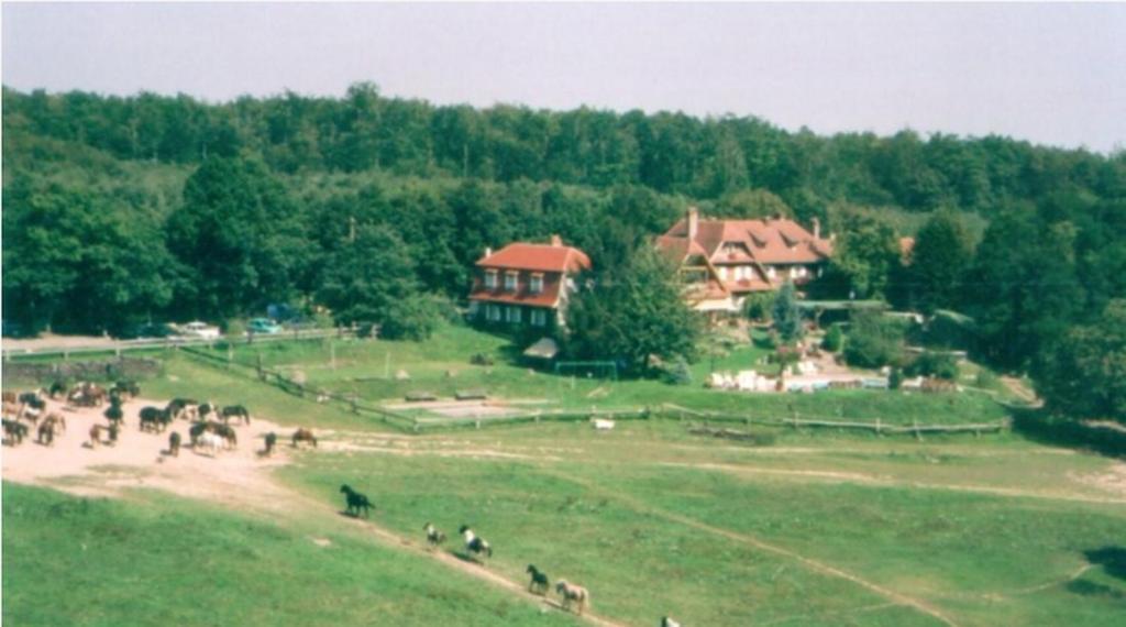 Le Neufeld Panzió Oberhaslach Kültér fotó