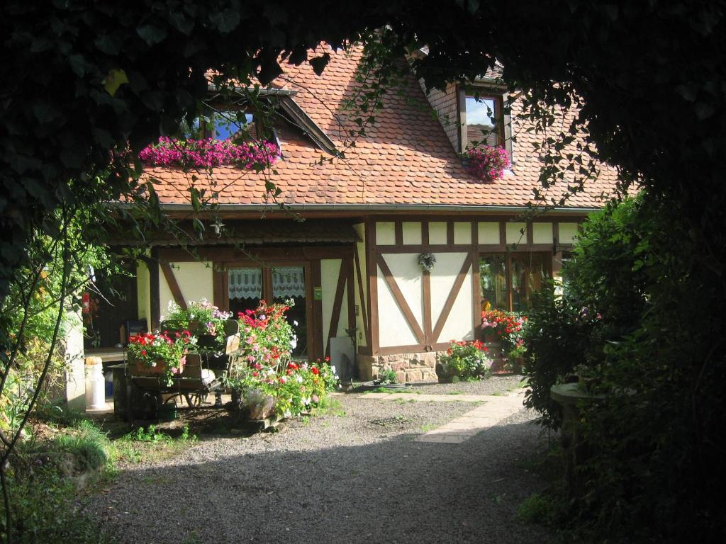 Le Neufeld Panzió Oberhaslach Kültér fotó