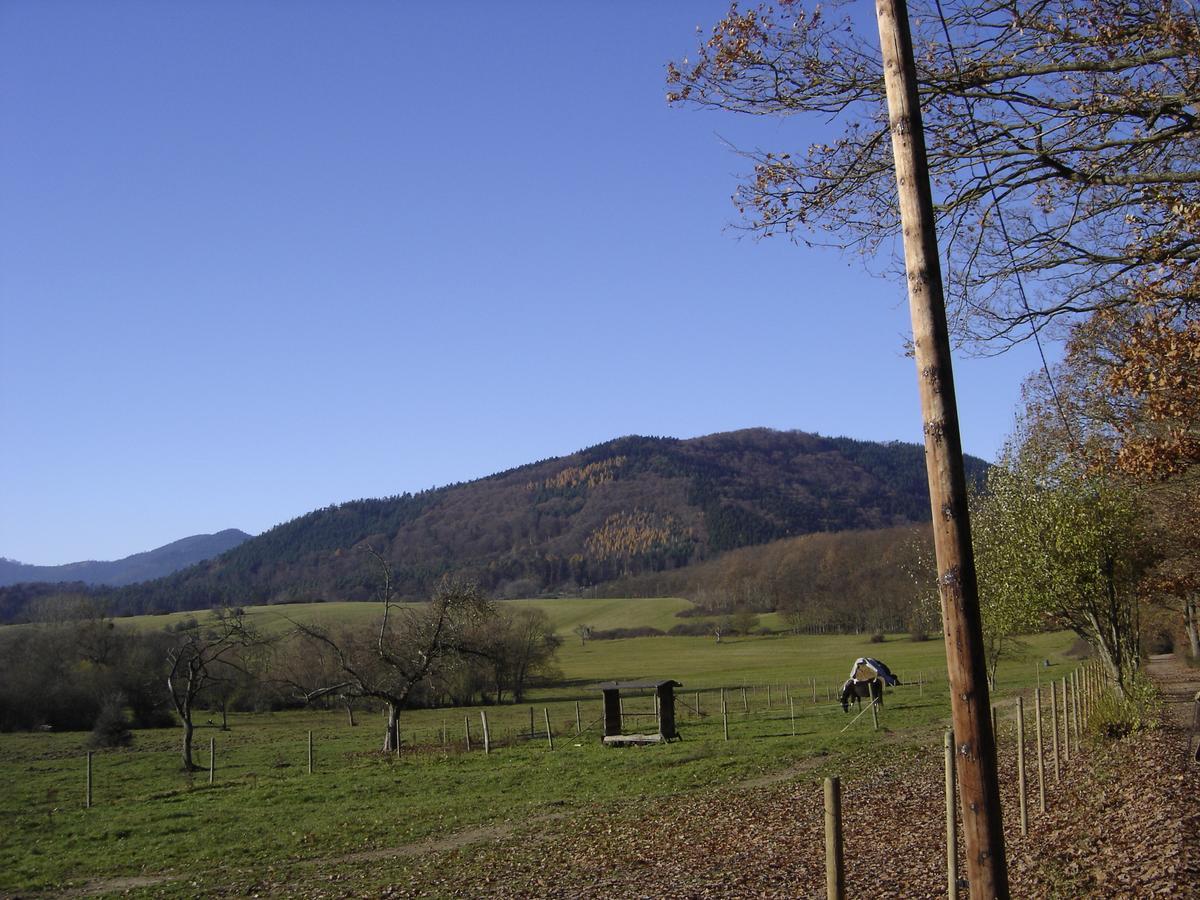 Le Neufeld Panzió Oberhaslach Kültér fotó